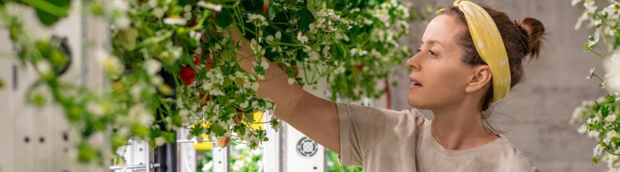 Vertical farming in quebec benefits and perks