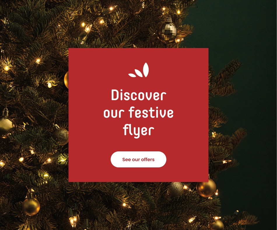 Discover our festive flyer